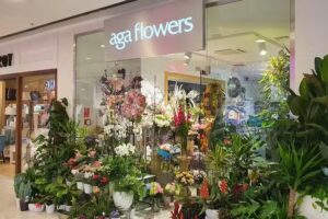 Aga Flowers Kwiaciarnia Dom Mody Klif