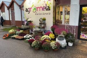 Agromela Kwiaciarnia