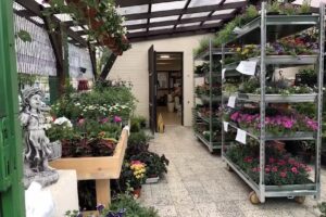 Agromela – Więcej Niż Ogród