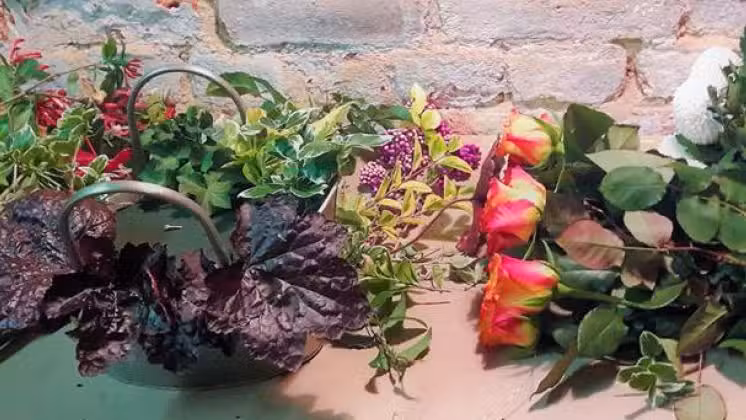 „Agrostik” Izabela Serdyńska