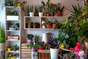 Ale Kwiatki Kwiaciarnia