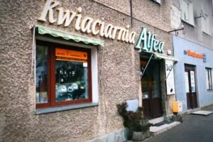 Alfea. Kwiaciarnia Poczta Kwiatowa Sanok