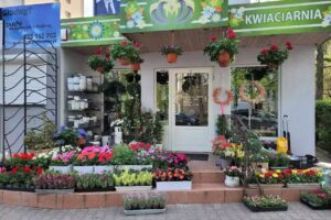 Alma Kwiaciarnia Wrocław – wiązanki okolicznościowe – bukiety ślubne Wrocław – wieńce pogrzebowe