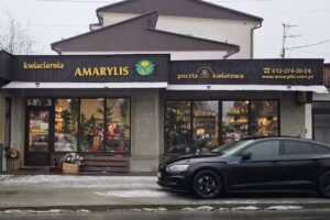 Amarylis. Kwiaciarnia