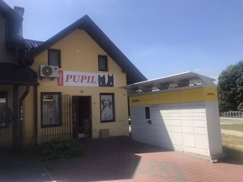 AN.FLOR Flower & Decor Anna Kozłowska