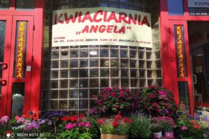 Angela. Kwiaciarnia. Gulczyńska M.