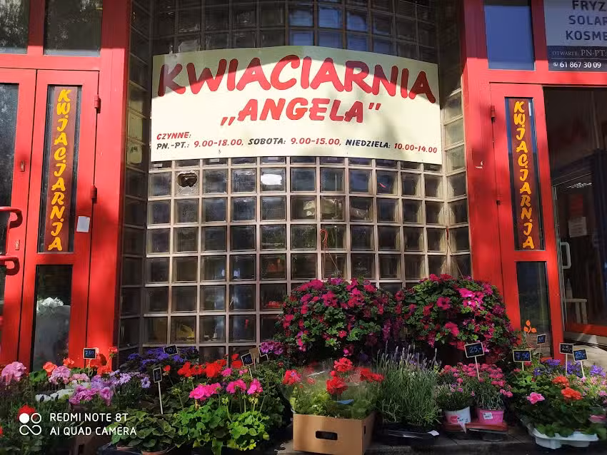 Angela. Kwiaciarnia. Gulczyńska M.