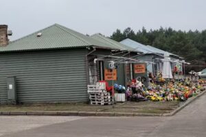 Angela Kwiaty Znicze