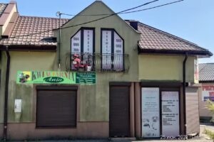 Ania. Kwiaciarnia. Macion A.