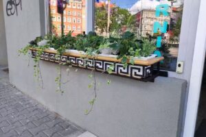 Art Kwiaciarnia HEDERA