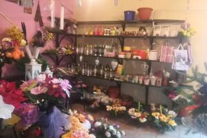 Aster. Kwiaciarnia. Bazylewicz W.