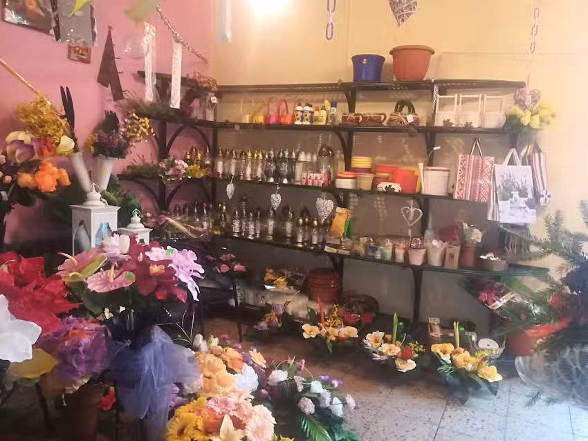 Aster. Kwiaciarnia. Bazylewicz W.