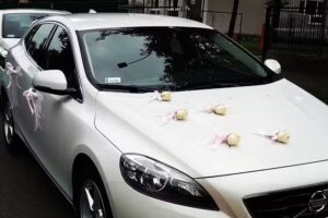 ASTON Pracownia Florystyczna