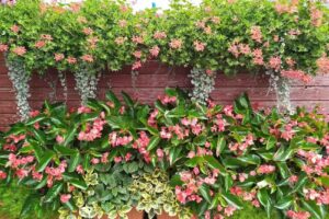 AWENA PHU Kwiaciarnia