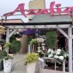 Azalia. Kwiaciarnia
