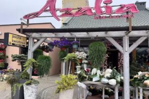 Azalia. Kwiaciarnia