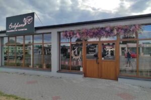 Badylarze KWIATY | ROŚLINY | SUSZKI