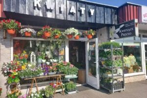 Batmaj. Kwiaciarnia. Dekoracja kościołów, wiązanki. Kopczyńska-Grenz A.