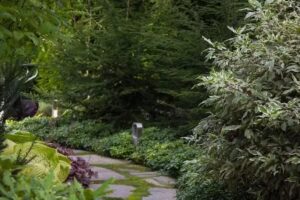 Bellflowers Pracownia Ogrodniczo-Florystyczna