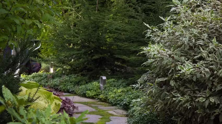 Bellflowers Pracownia Ogrodniczo-Florystyczna