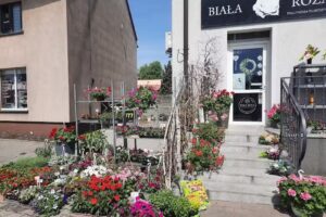 Biała Róża Pracownia Florystyczna