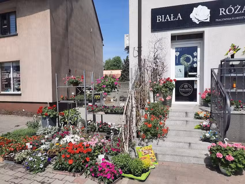 Biała Róża Pracownia Florystyczna