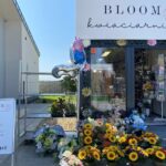BLOOM kwiaciarnia