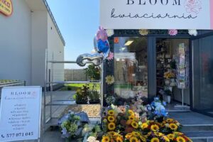 BLOOM kwiaciarnia