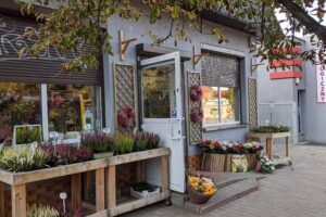 BloomingDays Kwiaciarnia Brochów