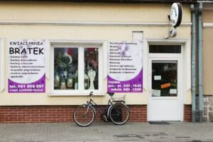 Bratek. Kwiaciarnia. Sędłak G.