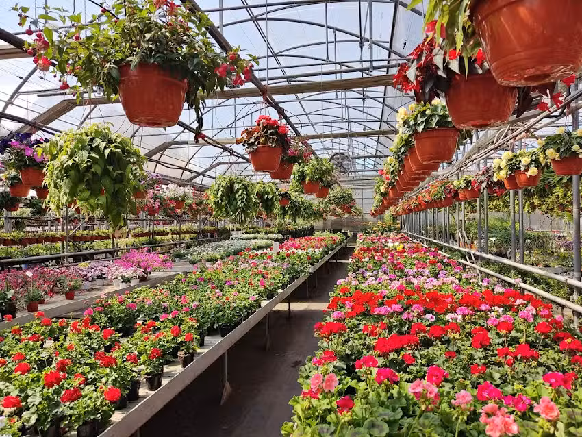 Brudło – Gospodarstwo Ogrodnicze