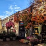 Bukiecik. Kwiaciarnia