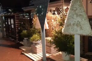 Centrum ogrodnicze Berberys