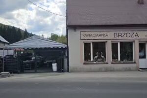 Centrum Ogrodnicze BRZOZA Kwiaciarnia