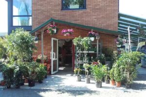 centrum ogrodnicze-kwiaciarnia 'beniko’