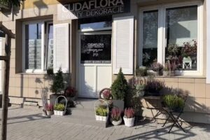 CUDAFLORA Anna Jankowiak