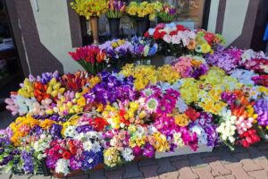 Czerniak Anna. Sprzedaż kwiatów, wieńców, upominków