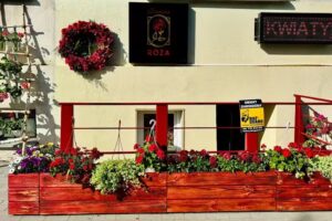 Czerwona Róża Kwiaciarnia