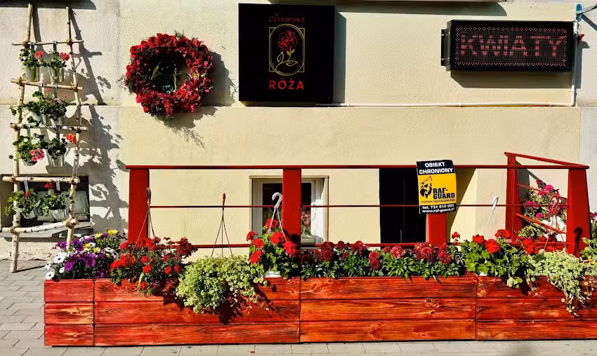 Czerwona Róża Kwiaciarnia