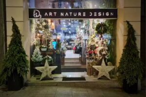 D3 Art Nature Design