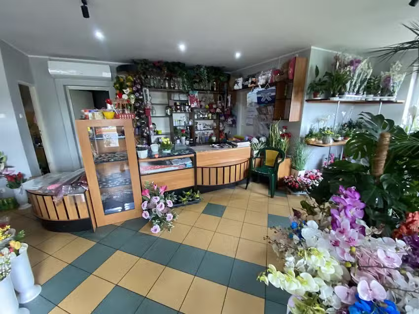 Dąbrowska Regina. Kwiaciarnia