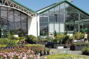 Daglezja. Centrum ogrodnicze