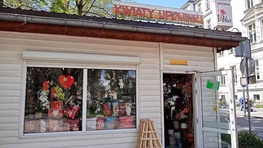 Dalia. Kwiaciarnia. Janda B.