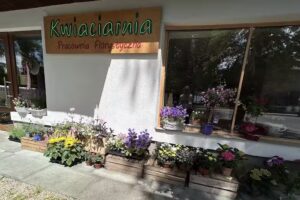 Dekoracje Sylwia Florystyka i Dekoracje Sylwia Makoś