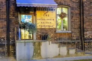 Deszczowy Las | Dekoracja ślubów | Warsztaty florystyczne | Pracownia florystyczna