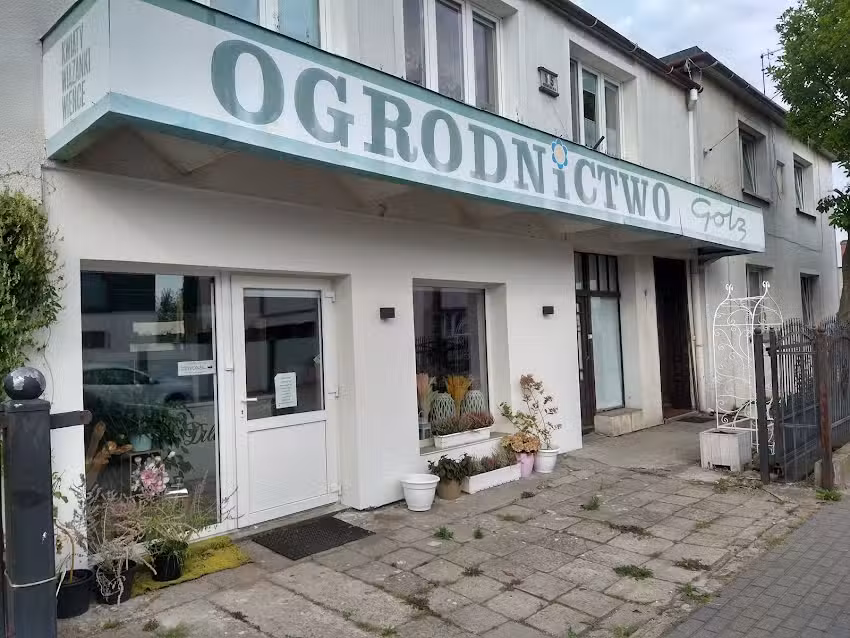 Dilana Kwiaciarnia Ogrodnictwo Kwiaty Cięte i Doniczkowe Bukiety Ślubne