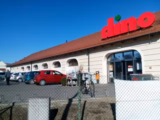 Dino