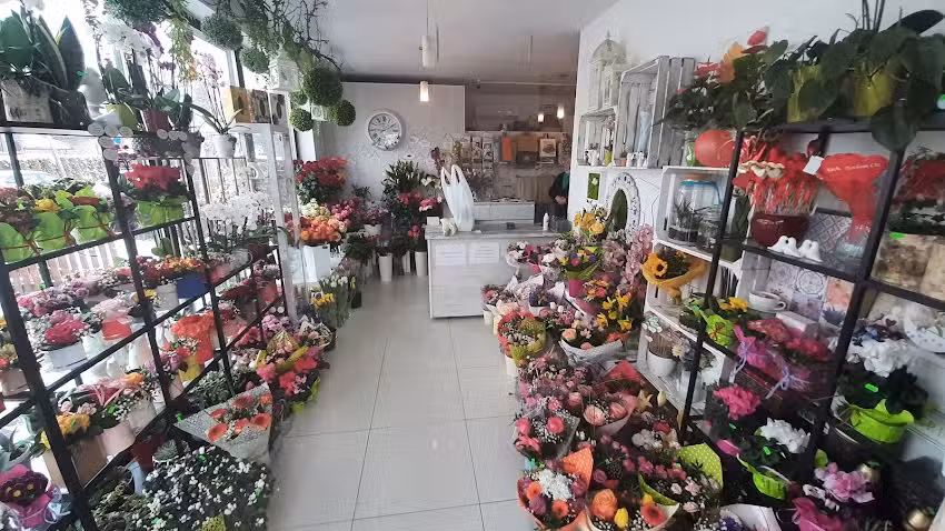 Domańscy I.P Kwiaciarnia i Ogrodnictwo