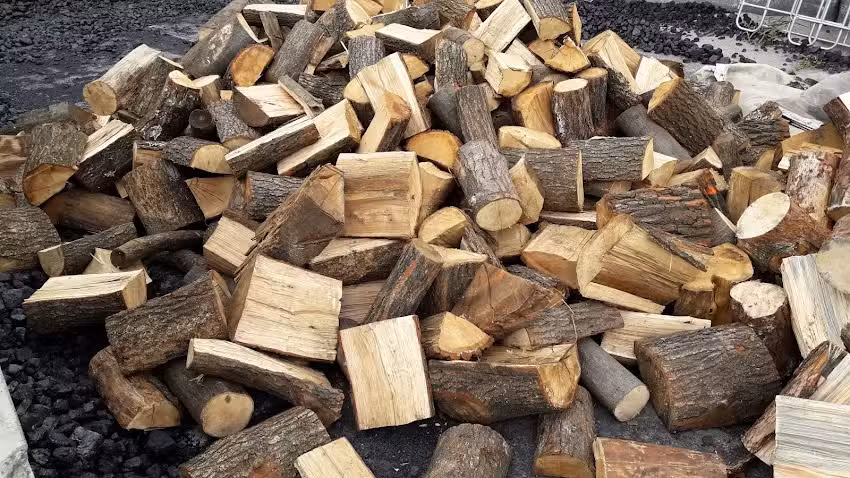 Drewno kominkowe , Hurtownia kwiatów , podkłady pod wieńce