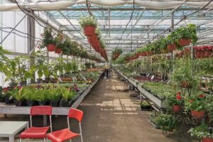 Eko-Flora Gospodarstwo Ogrodnicze Robert i Dorota Gębczyk